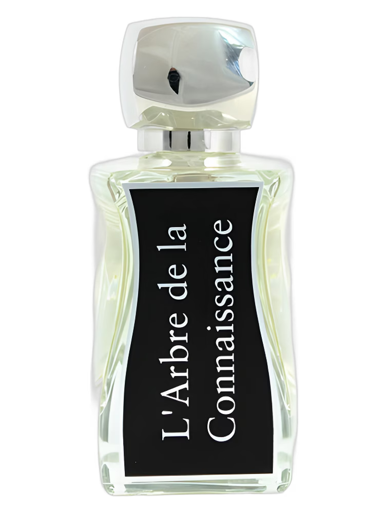 L Arbre De La Connaissance