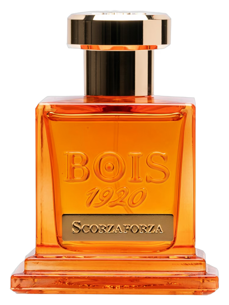 Scorzaforza